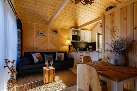Communal lounge/ TV room, Living room, Seating area