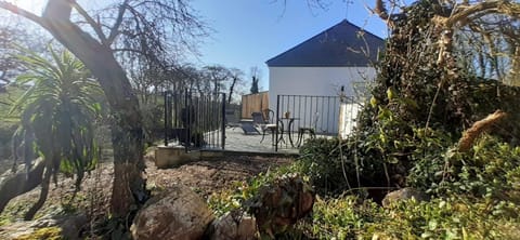 Spring, Garden, Garden view