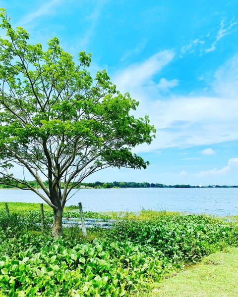View (from property/room), Lake view