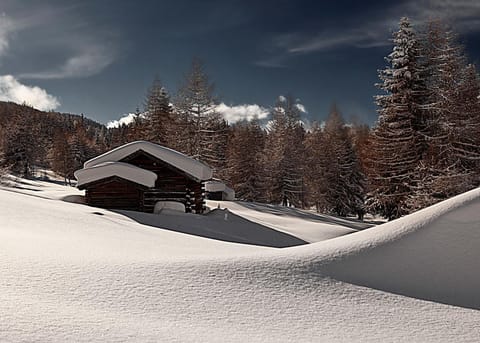 Winter, Area and facilities