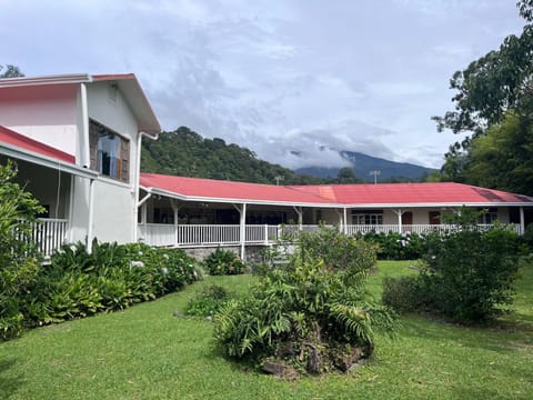 Property building, Garden view