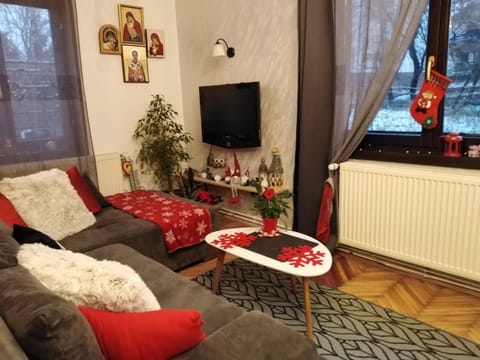 Studio Sanja Knez Apartment in Serbia