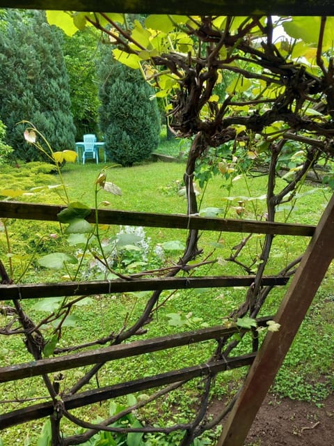 Studio Sanja Knez Apartment in Serbia