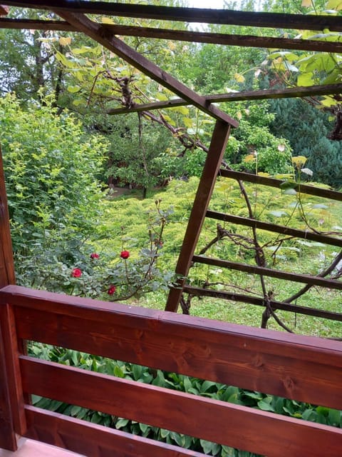 Studio Sanja Knez Apartment in Serbia