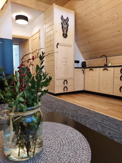 Kitchen or kitchenette, dishwasher, wardrobe
