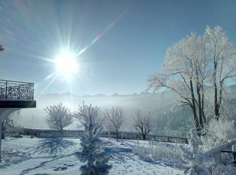 Winter, Mountain view