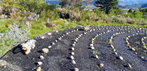 Gecko Cottage at Artemis House in Franschhoek