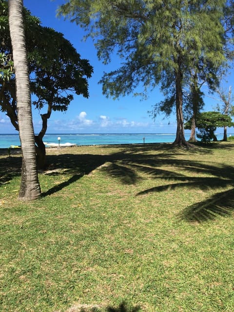 Natural landscape, Garden view, Sea view