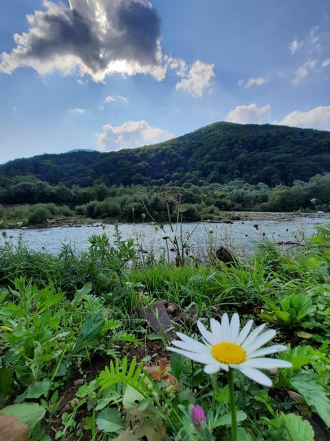 Natural landscape, Hiking, Bedroom, River view