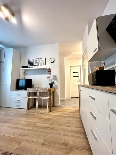 Kitchen or kitchenette, dishwasher, minibar, stove