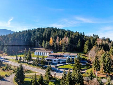 Bird's eye view, Autumn