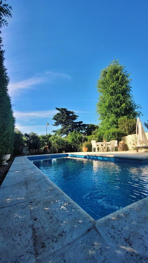 Patio, Garden, Swimming pool