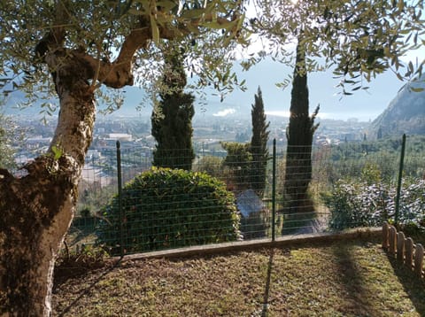Garden, Garden view, Lake view