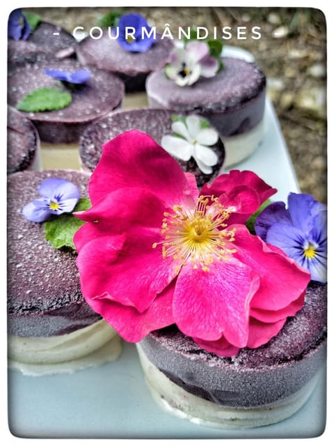 ÔRacines du Calme Maison Hélianthy House in Provence-Alpes-Côte d'Azur