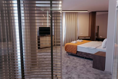 Hotel Lebed Hotel in Ohrid