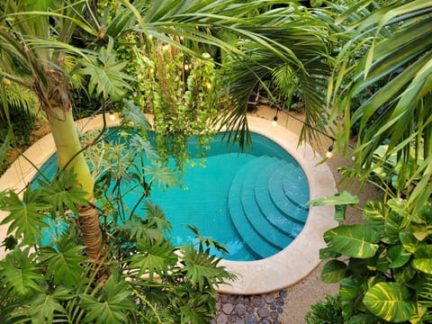 Bird's eye view, Pool view, Pool view, Swimming pool