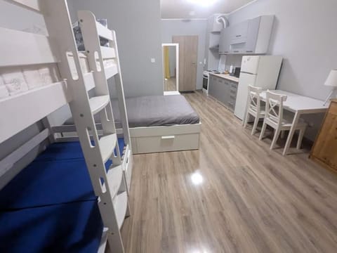 Piano Apartment Apartment in Szczecin