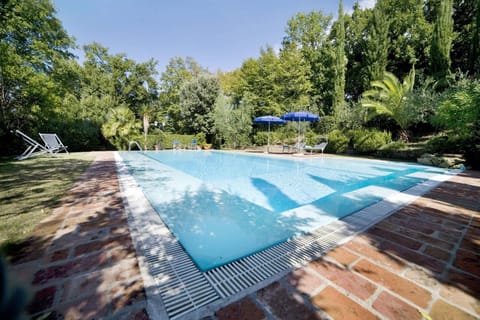 Garden, Swimming pool