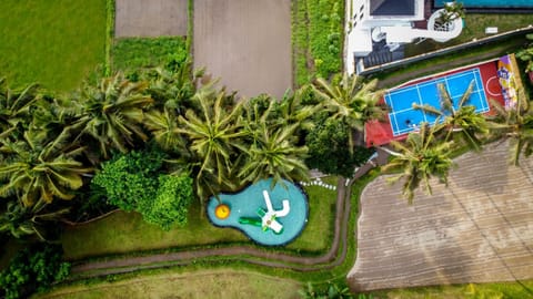 Bird's eye view, Pool view, Swimming pool