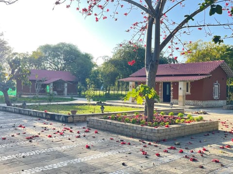 Property building, Natural landscape, Garden, Garden view
