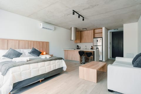 Bed, Living room, Photo of the whole room, kitchen