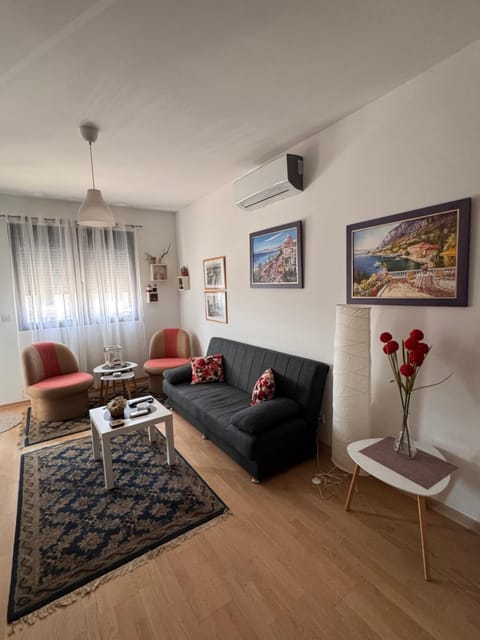 Flower and Love Flat Next to centar of podgorica Apartment in Podgorica