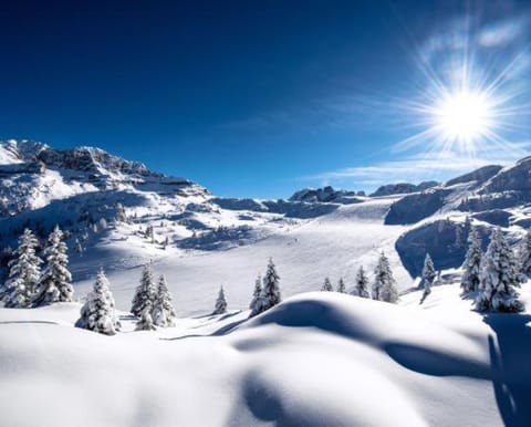 Appartamento LO SCOIATTOLO Apartment in Trentino-South Tyrol