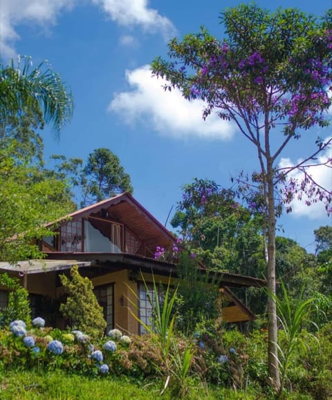 Chalé Pakere Montanha Lumiar - Conforto a mais de 1000 metros de altitude junto a natureza, wifi, piscina, sauna e água de nascente - locação do chalé sem prestação de serviços Chalet in State of Rio de Janeiro