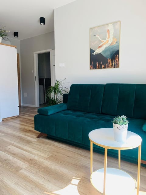 Apartament Stemar z dyżym baloknem Apartment in West Pomeranian Voivodeship, Poland