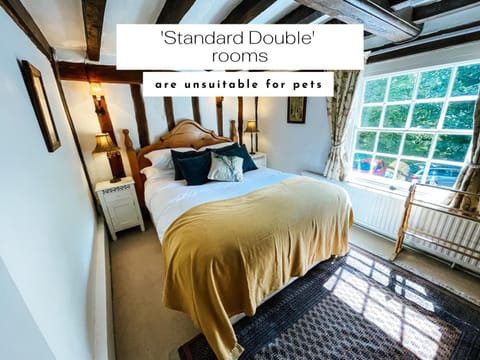 Photo of the whole room, Pets