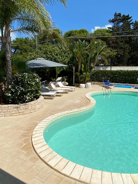 Garden, Swimming pool, sunbed