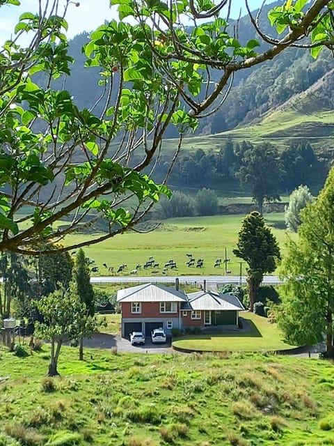 Property building, Bird's eye view, Animals, Parking
