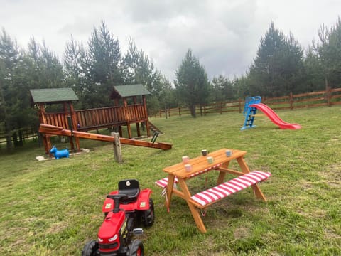 Vila Čarna Zlatibor House in Zlatibor District, Serbia