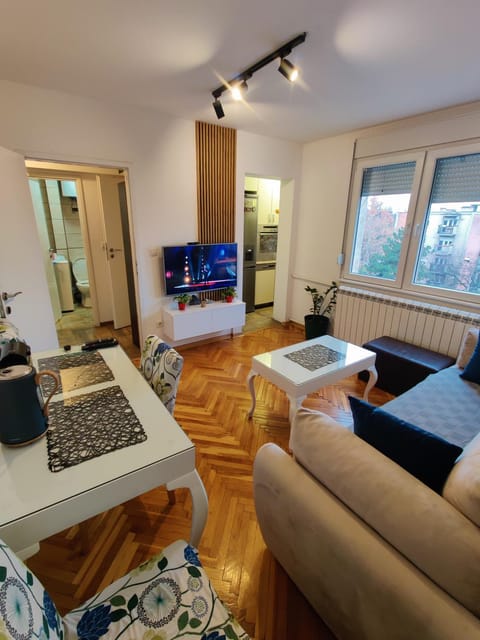 Petra Apartment Apartment in Novi Sad