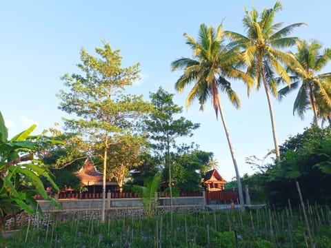 Natural landscape, Garden, Garden view