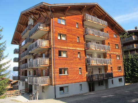 Wohnung CHOTTES NEND230 Ski in and Ski out Apartment in Nendaz