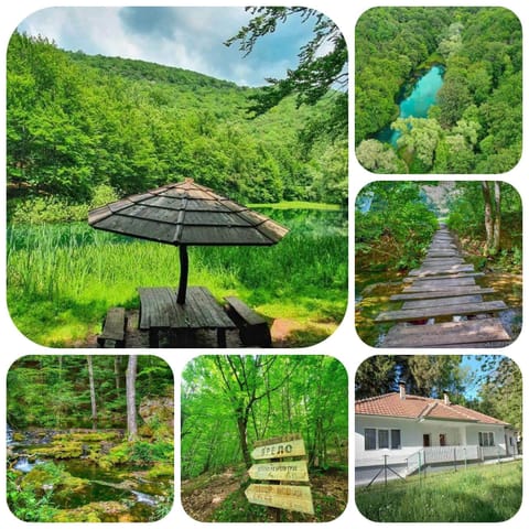 Apartmani Grza Apartment in Serbia