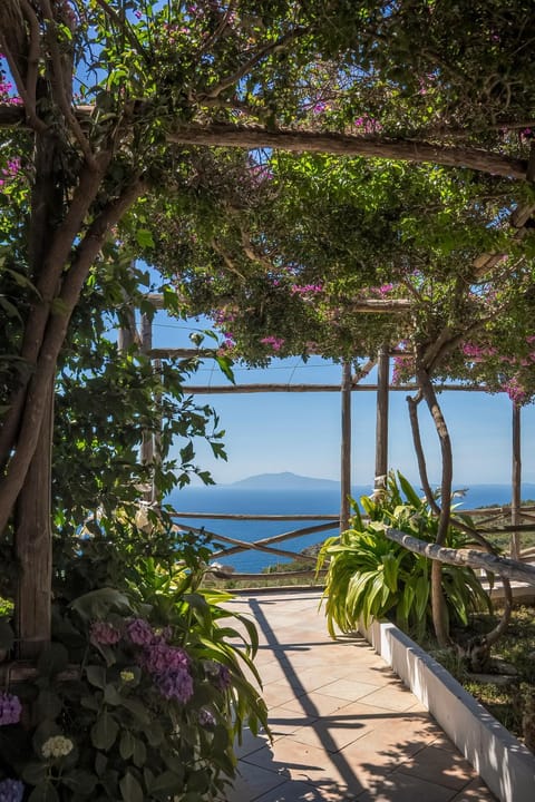 Garden, View (from property/room)