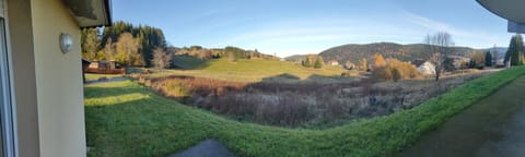 Le Cozy du Poli, Résidence Le Haut des Lacs Apartment in Xonrupt-Longemer