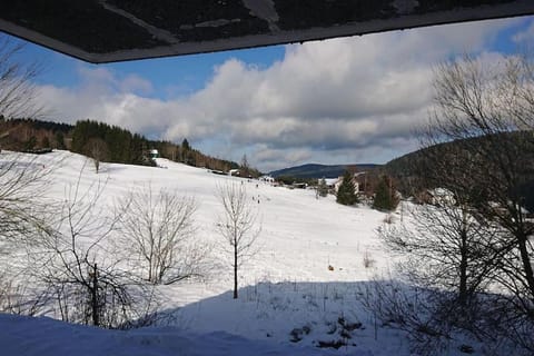 Le Cozy du Poli, Résidence Le Haut des Lacs Apartment in Xonrupt-Longemer