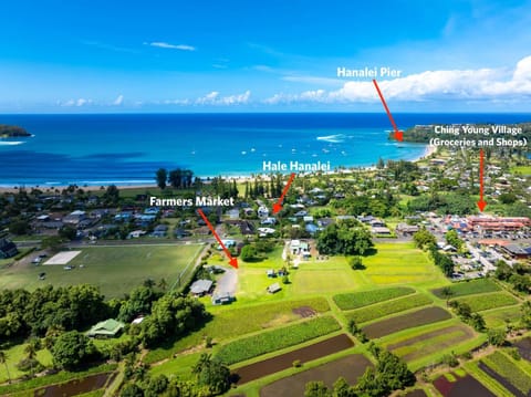 Hale Hanalei home House in Hanalei