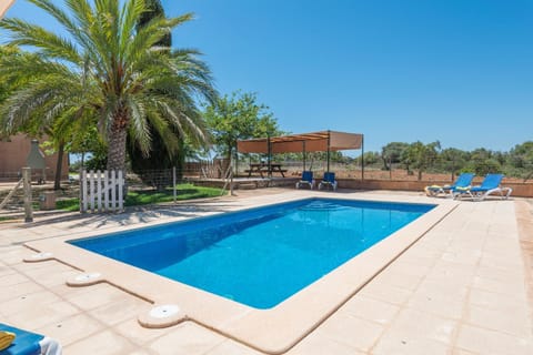 Pool view, Swimming pool, sunbed