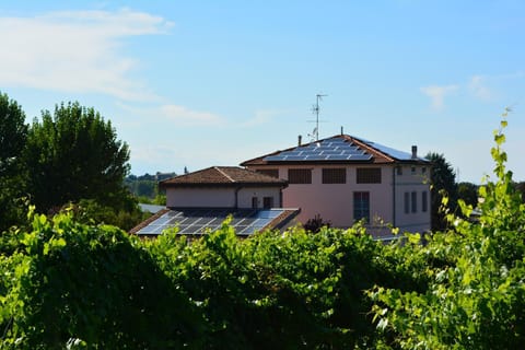 Day, Summer, Garden, View (from property/room)