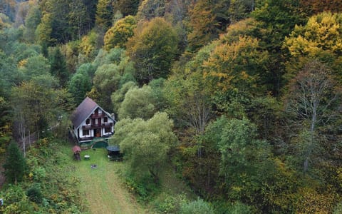 Property building, Natural landscape, Bird's eye view, Autumn