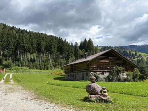 Lärchenwirt Dolomites Apartment in Friuli-Venezia Giulia