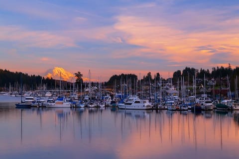 Beautiful Midtown Apartment✪ Kitsap⎜Essence Apartment in Port Orchard