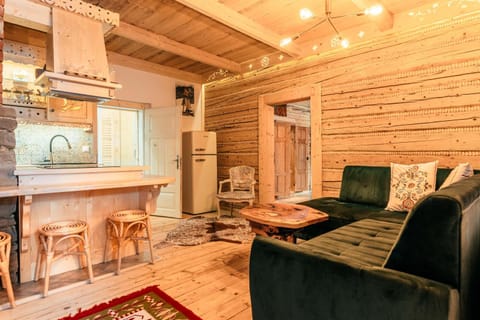 Living room, kitchen