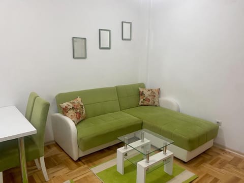 RIO 2 Apartment in Podgorica