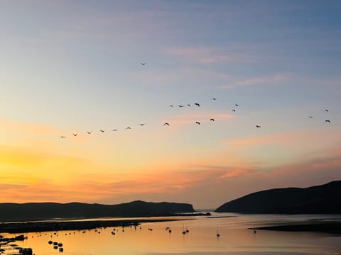 View (from property/room), View (from property/room)