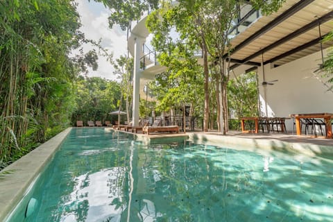 Solarium, Pool view, Swimming pool